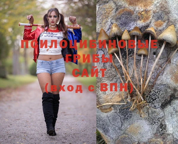 бутират Абинск