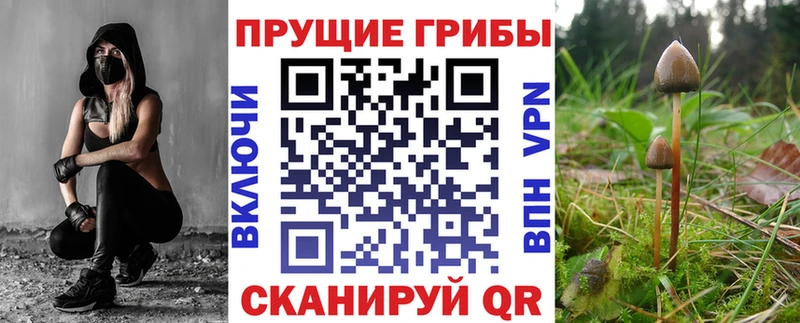 наркошоп  Серпухов  Галлюциногенные грибы Magic Shrooms 